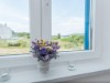 Image 21 - Outside