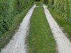 Bild 17
