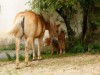 Bilde 3