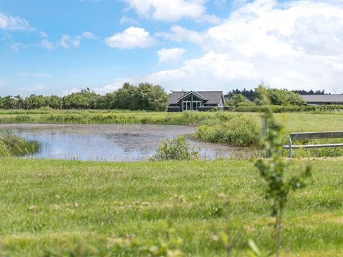Ferienhaus - 8 Personen -  - Multebærvej - Skaven - 6880 - Tarm