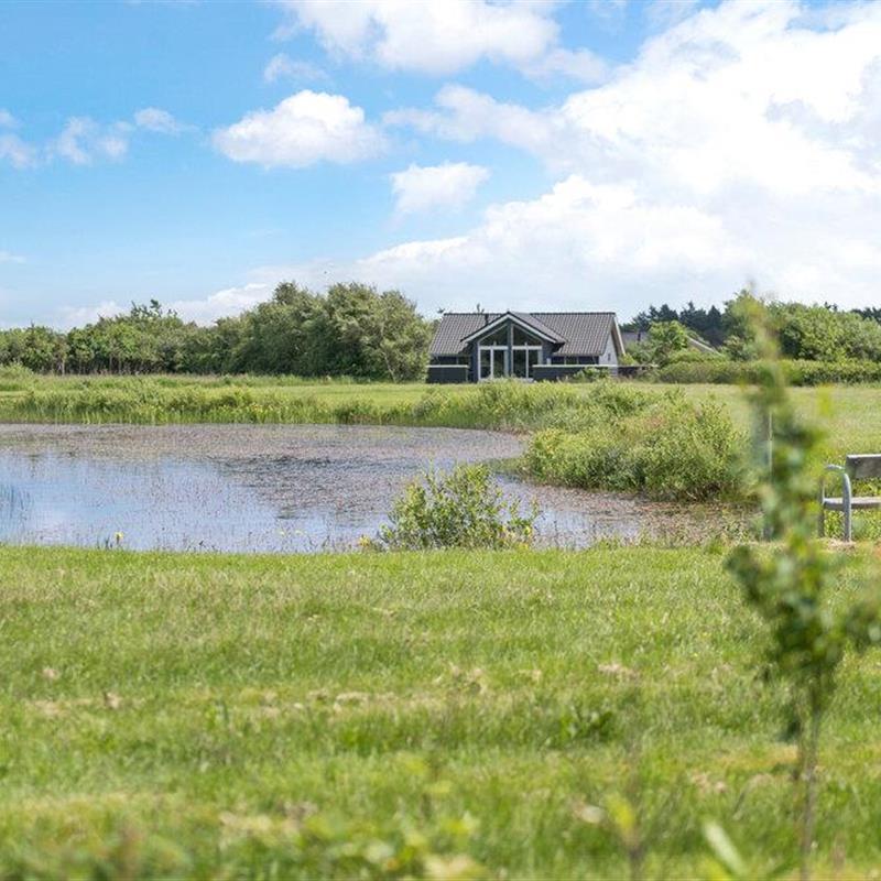 Ferienhaus - 8 Personen -  - Multebærvej - Skaven - 6880 - Tarm