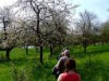 Bild 13
