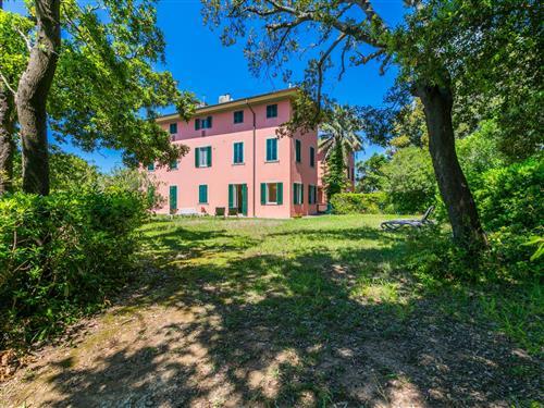 Semesterlägenhet - 4 personer -  - Castiglioncello - 57016