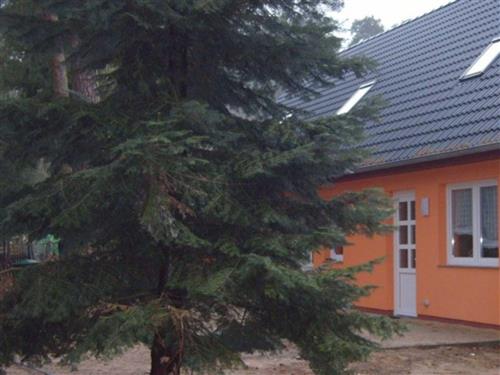 Ferielejlighed - 6 personer -  - Teterower Chaussee - 18273 - Güstrow / Klueß