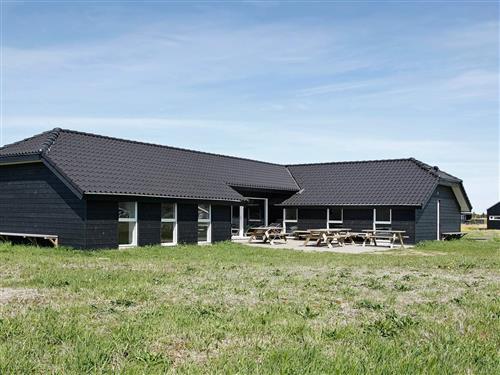 Sommerhus - 24 personer -  - Kronvildtvej - Tranum Klit - 9460 - Brovst
