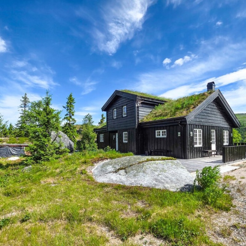 Sommerhus - 8 personer -  - Sjusjøbroren - Eggedal / Norefjell - 3359 - Eggedal