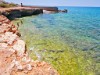 Bilde 1