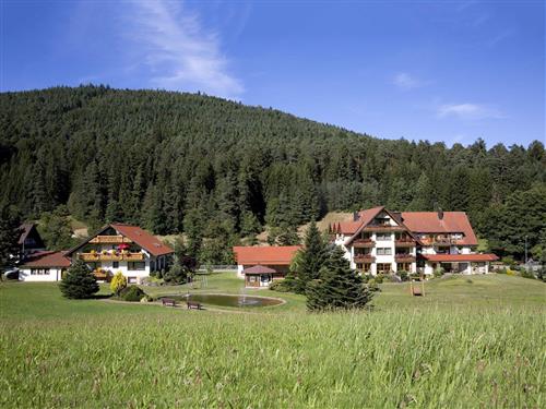 Ferieleilighet - 4 personer -  - Tonbachstr. - 72270 - Baiersbronn