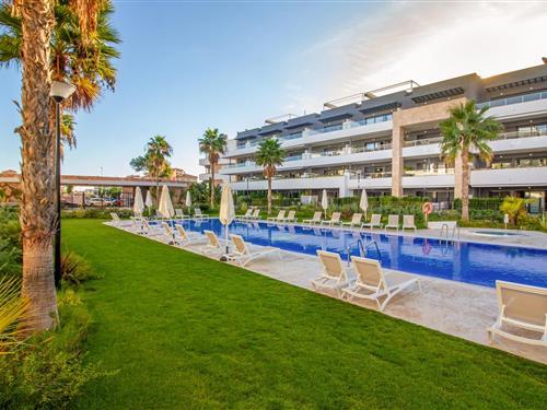 Holiday apartment - 8 persons -  - Calle Pablo Picasso - Orihuela Costa - 03189 - Orihuela