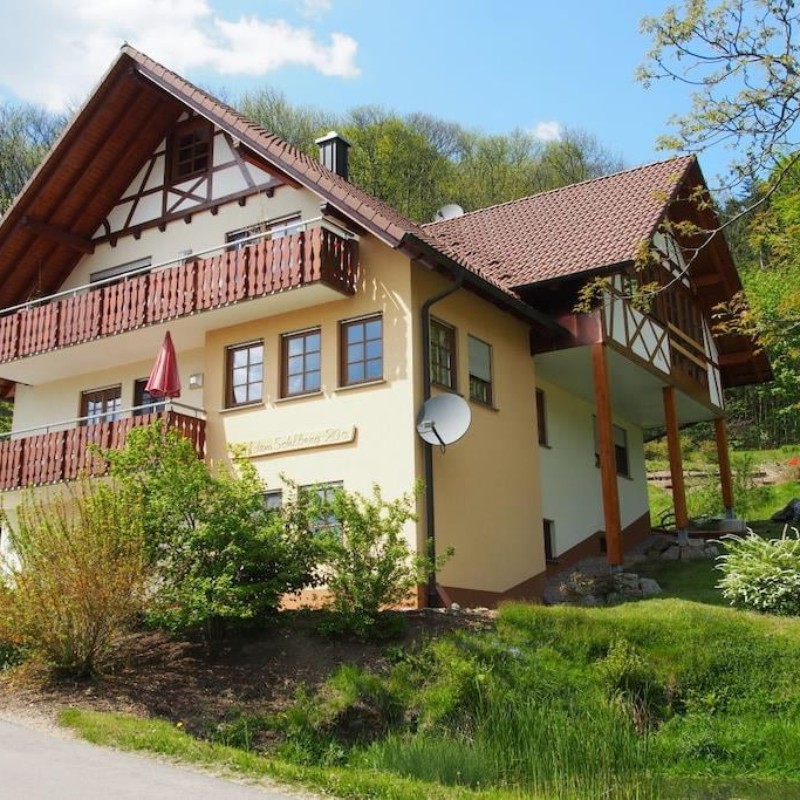 Sommerhus - 2 personer -  - 77794 - Lautenbach