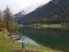 Bilde 5