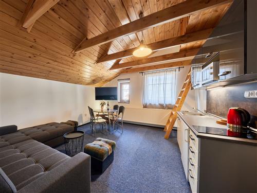 Ferienwohnung - 7 Personen -  - Cerny Dul - 543 44