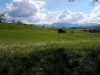 Bild 17