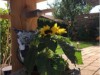Bild 18