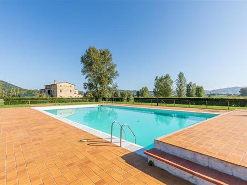 Ferielejlighed - 3 personer -  - Località Borgo Faldo - 06014 - Montone