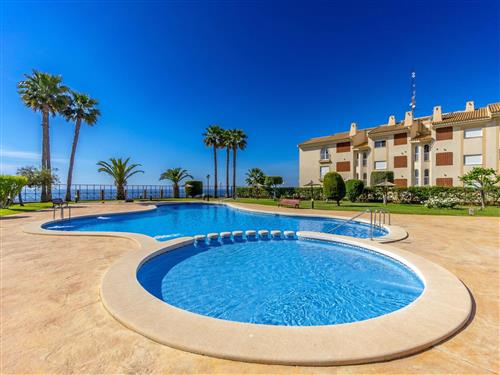 Ferielejlighed - 6 personer -  - Orihuela Costa - 03189