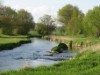 Image 25
