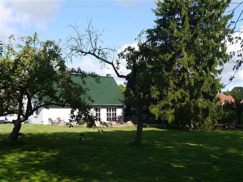 Semesterhus/Semesterlägenhet - 5 personer -  - Dorfstraße - 18581 - Putbus-Kasnevitz