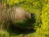 Image 29