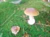Billede 5
