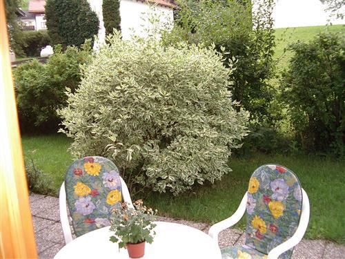 Ferienhaus - 2 Personen -  - Lamplstr. - 82433 - Bad Kohlgrub