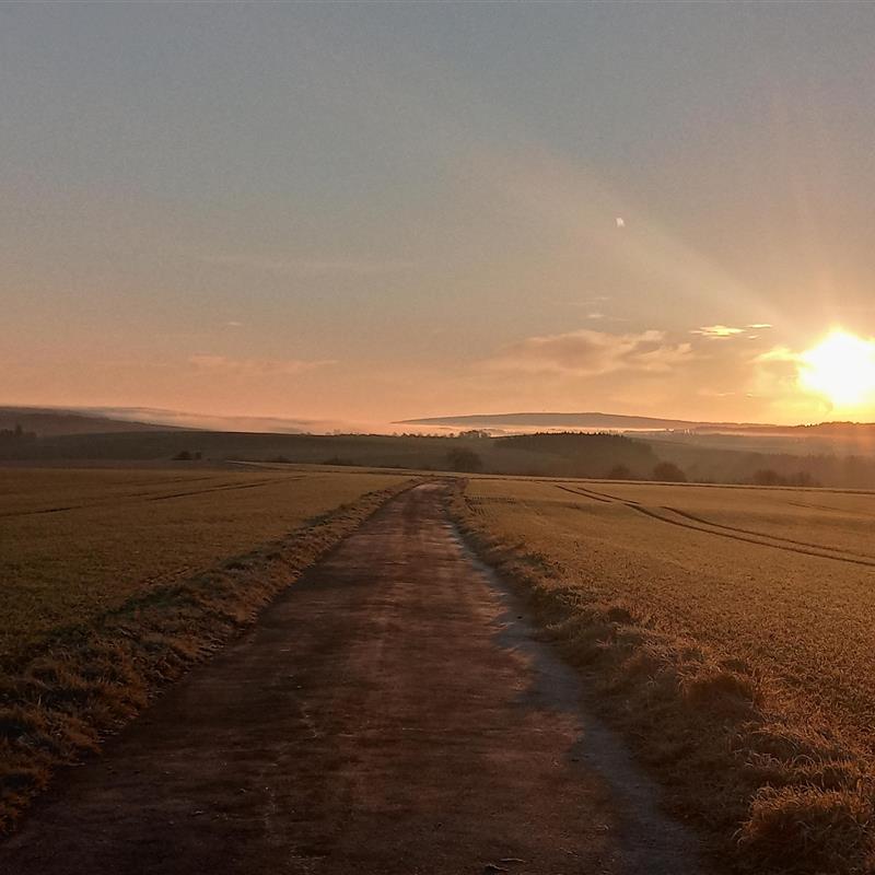 Ferielejlighed - 2 personer -  - Fronhofen - 54483 - Kleinich