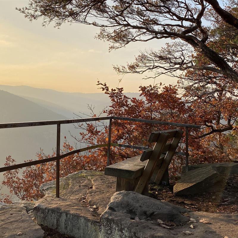 Ferielejlighed - 2 personer -  - Haardter Treppenweg - 67433 - Neustadt An Der Weinstraß