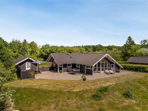Sommerhus - 8 personer -  - Midtparken - Arrild - 6520 - Toftlund
