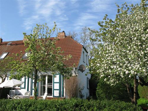 Holiday Home/Apartment - 5 persons -  - Osterstraße - 18347 - Wustrow