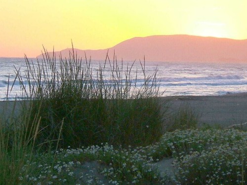 Sommerhus - 4 personer -  - 58100 - Marina Di Grosseto