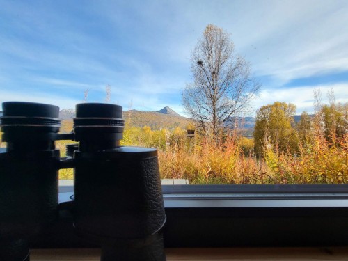  - 6 personer -  - Fjellfroskveien - Balsfjord - 9334 - Troms