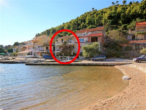 Holiday apartment - 2 persons -  - Gršcica Vela - 20271 - Blato
