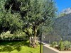 Bilde 46