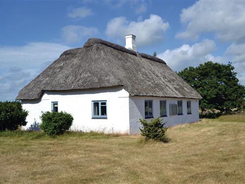 Sommerhus - 4 personer -  - Vesterlundvej - Nymindegab - 6830 - Nr. Nebel