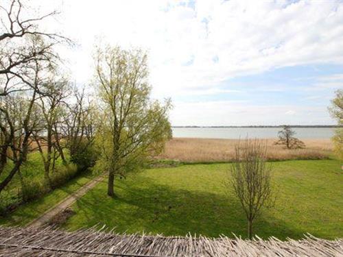 Holiday Home/Apartment - 2 persons -  - Bauernreihe - 18375 - Erholungsort Wieck