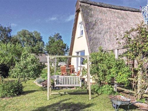 Feriehus - 4 personer -  - Zur Huk - 23968 - Hohen Wieschendorf