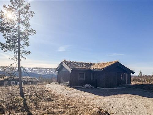 Sommerhus - 8 personer -  - Elgtråkket - 2440 - Engerdal