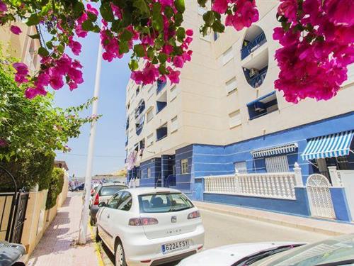 Holiday apartment - 3 persons -  - 03188 - La Mata