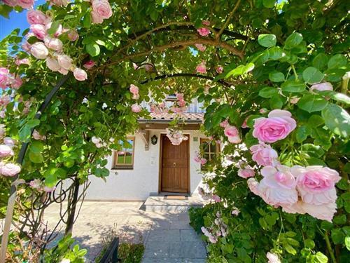 Sommerhus - 8 personer -  - Moosfeldweg - 83126 - Flintsbach