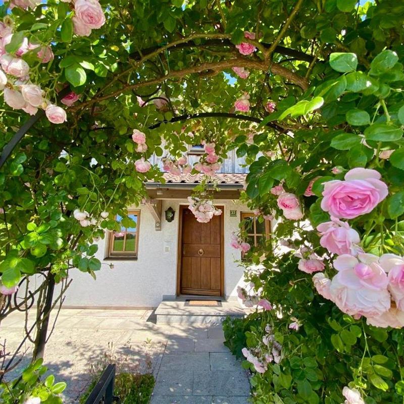 Sommerhus - 8 personer -  - Moosfeldweg - 83126 - Flintsbach