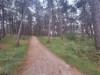 Bild 33