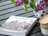 Bild 15