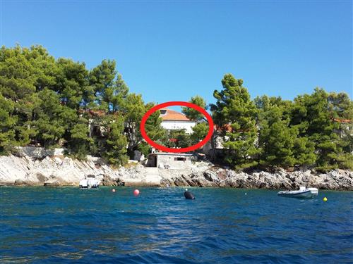 Ferielejlighed - 6 personer -  - Brna 380, Brna - 20272 - Smokvica