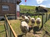 Image 20 - Outside
