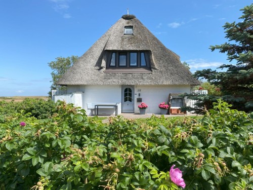 Ferienwohnung - 2 Personen -  - Nuurhörn - 25980 - Sylt / Morsum