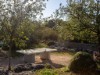 Image 7 - Outside