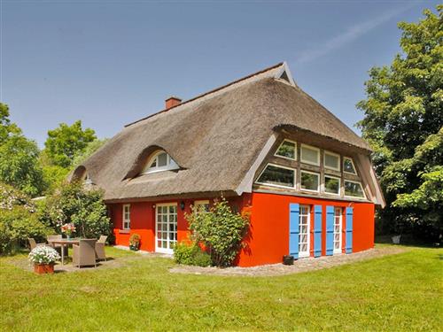 Feriehus - 4 personer -  - Erlenweg - 18314 - Kenz-Küstrow / Rubitz