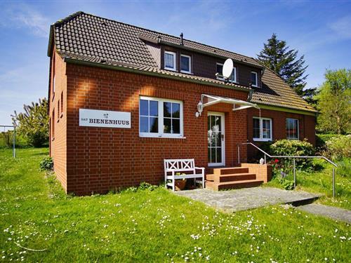Holiday home - 8 persons -  - Neuendorfer Weg - 18581 - Putbus