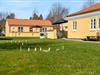 Billede 24 - Grund