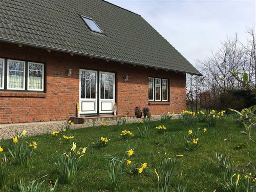 Ferienhaus - 3 Personen -  - Goosend - 24395 - Gelting